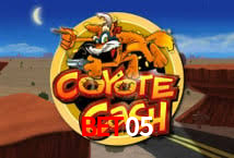 A Experiência Imersiva dos Cassinos Ao Vivo no bet05